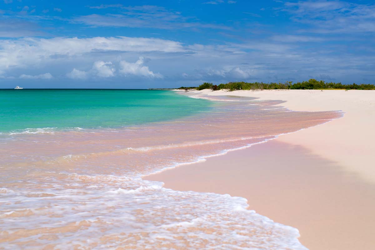 Barbuda Island