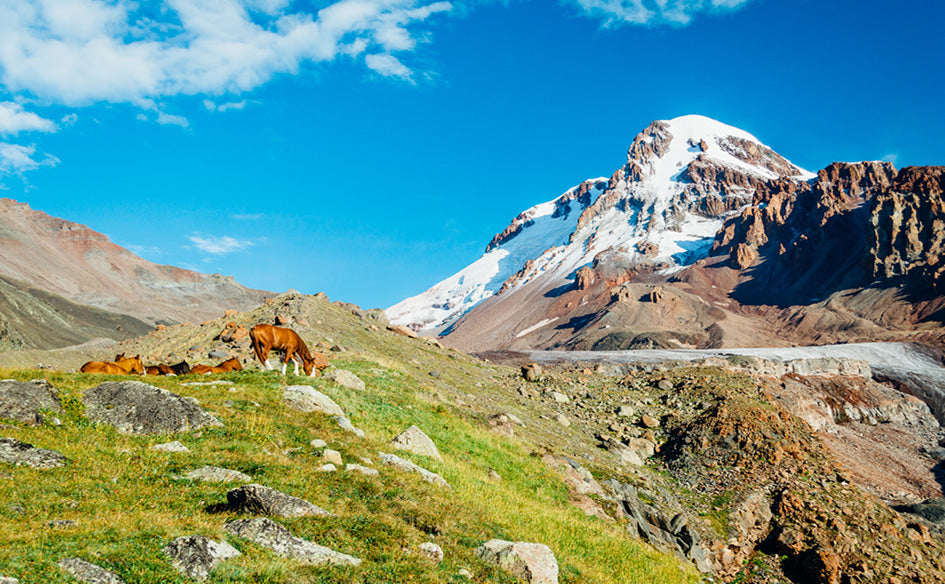 Hiking Around Europe Desk Calendar