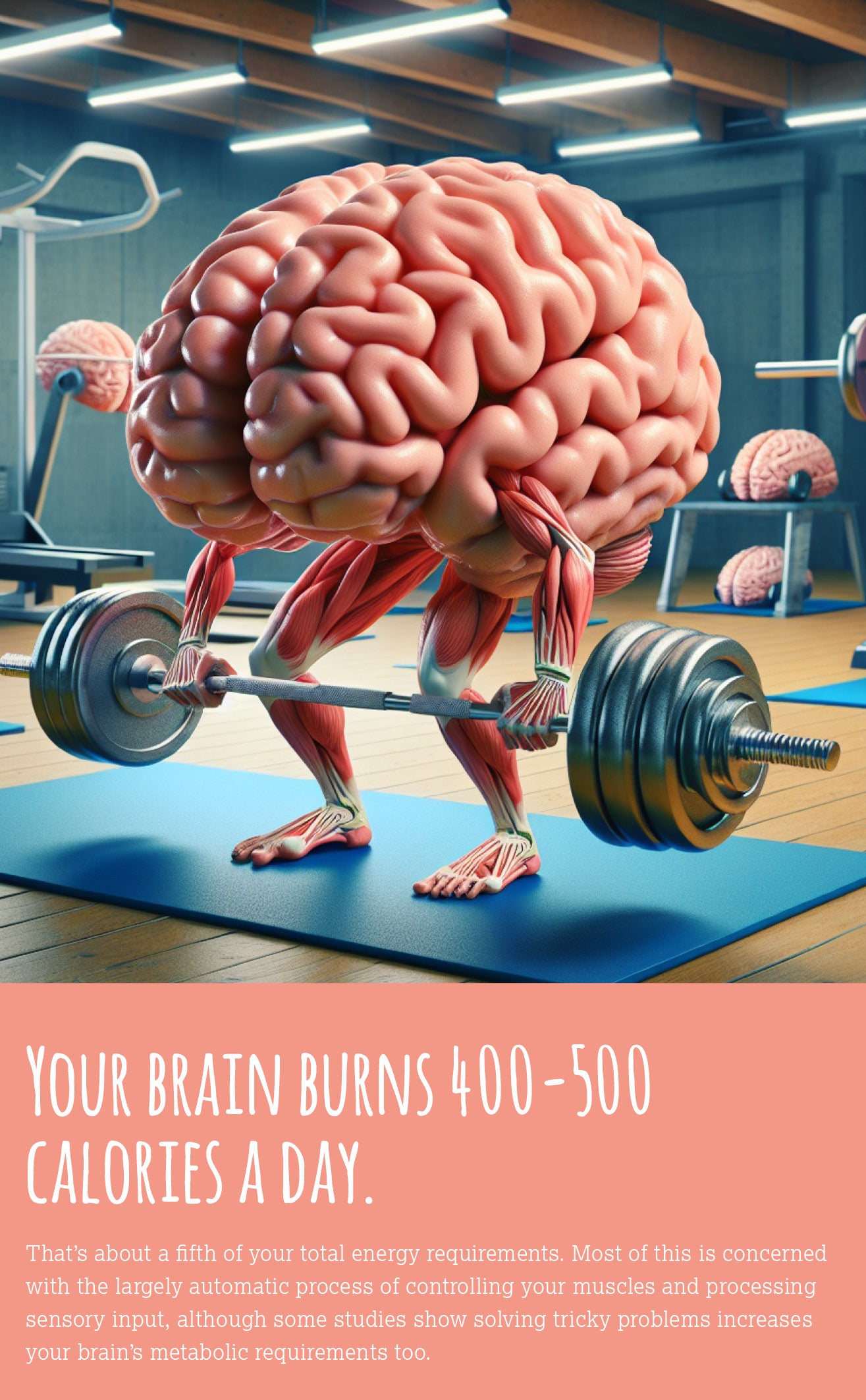 your-brain-burns-500-caolories-a-day