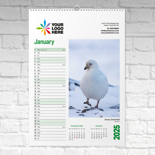 Animal-Kingdom-Large-Wall-Calendar