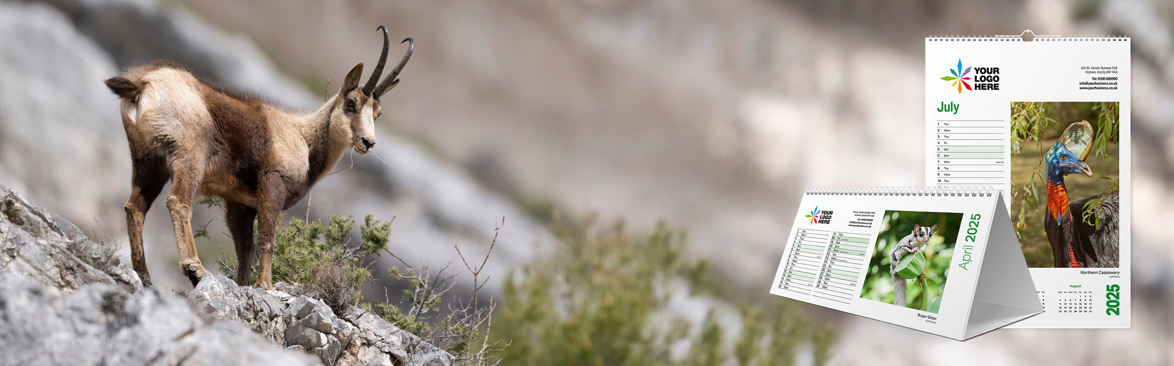 Animal-Kingdom-banner