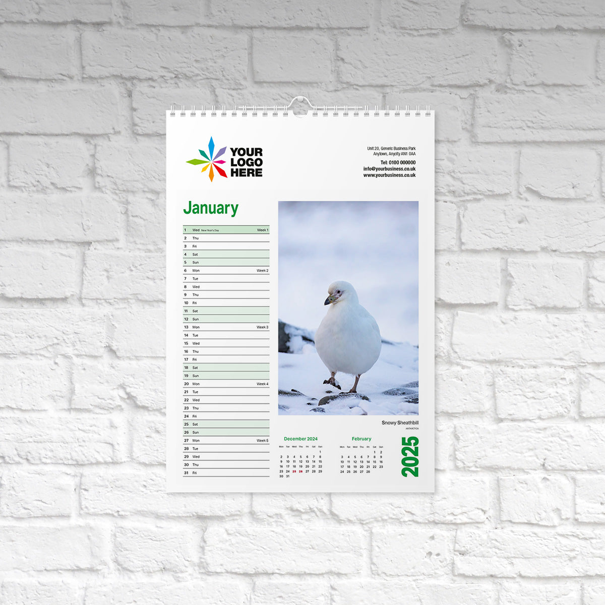 Animal-Kingdom-Small-Wall-Calendar