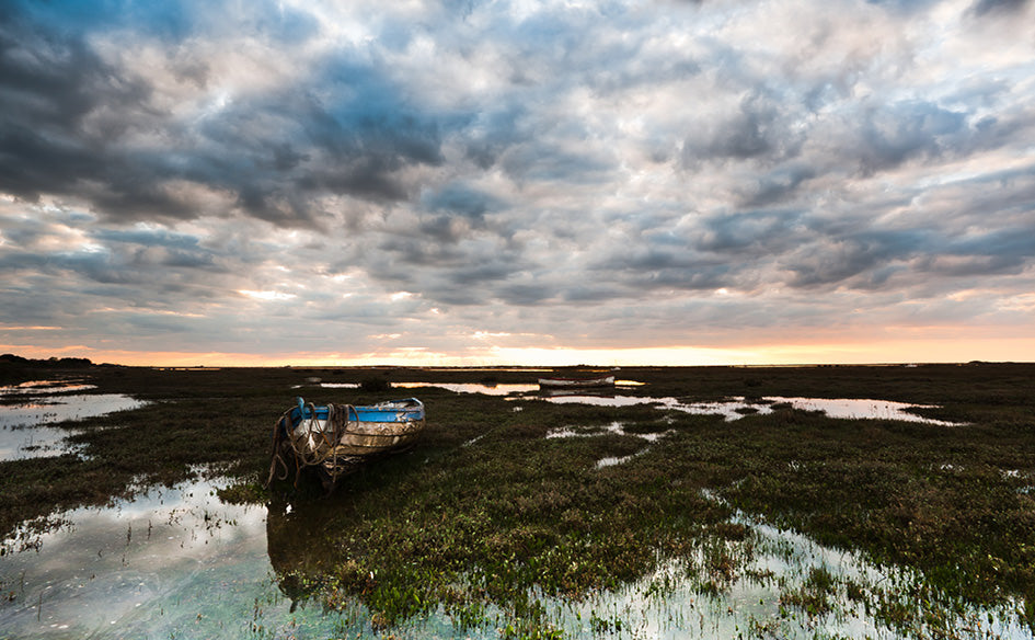 Salt-Marshes-Norfolk