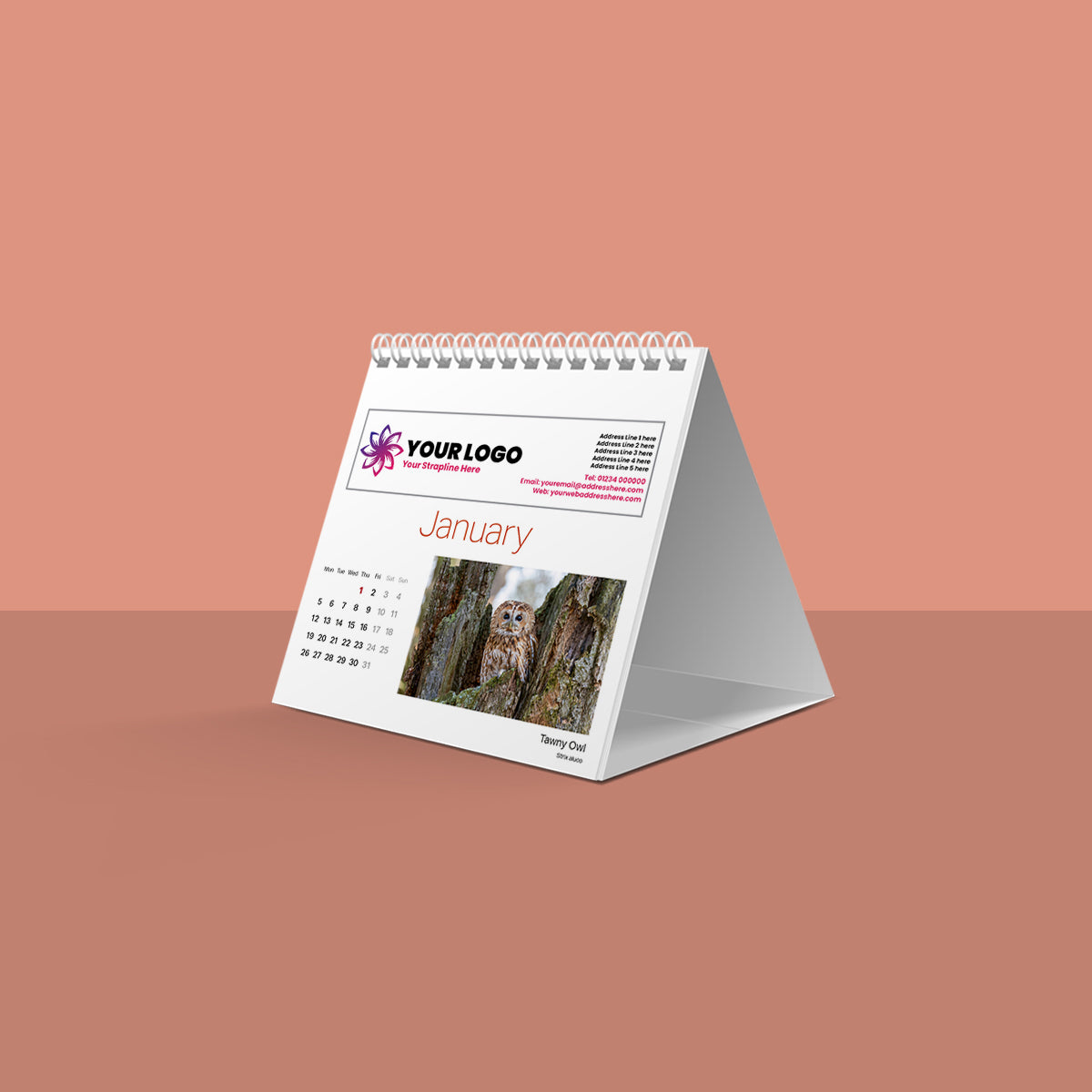 British Wildlife Desk Calendar