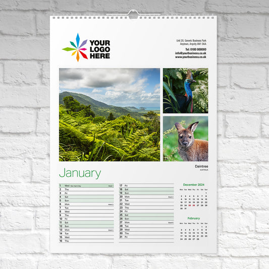 Forests-of-the-World-Large-Wall-Calendar