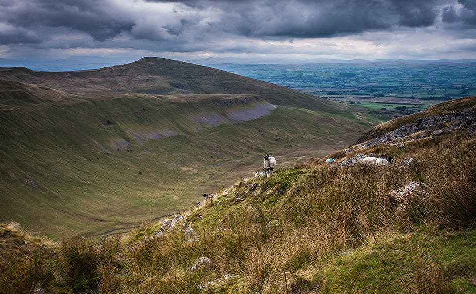 Hiking Around the UK Desk Calendar