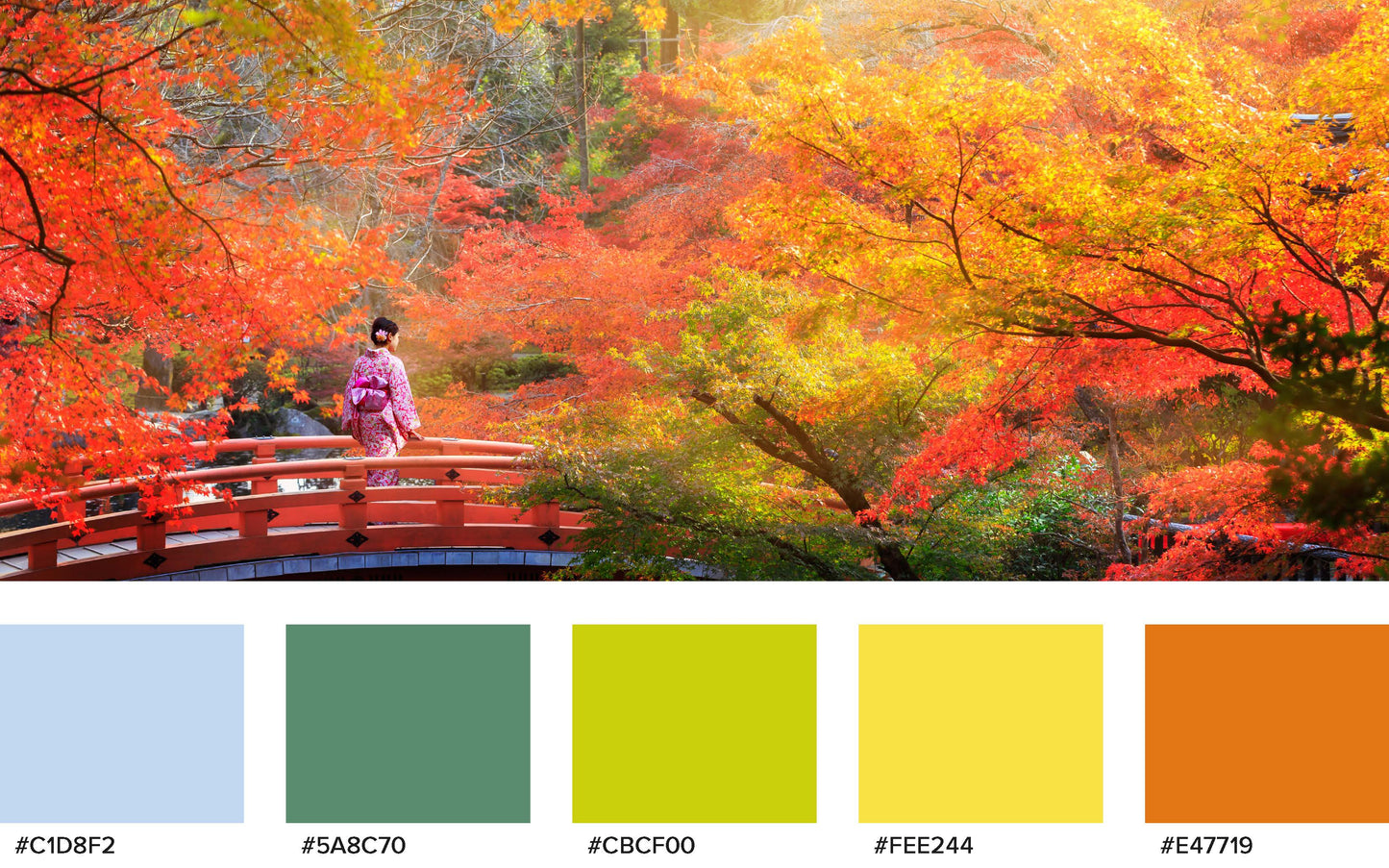 autumn_hex_colours