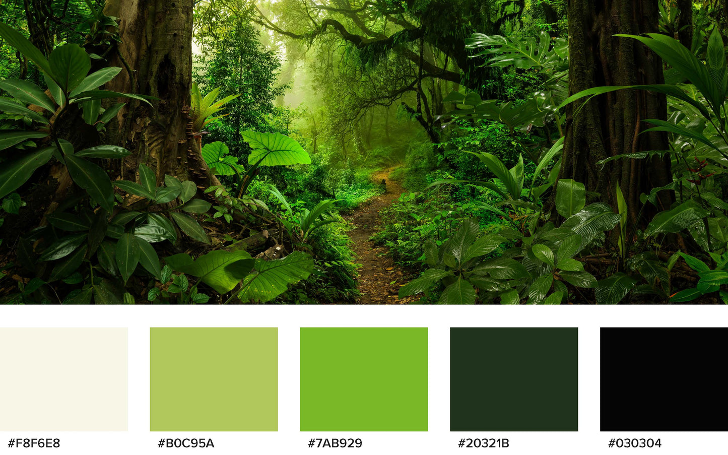 green_forest_hex_colours