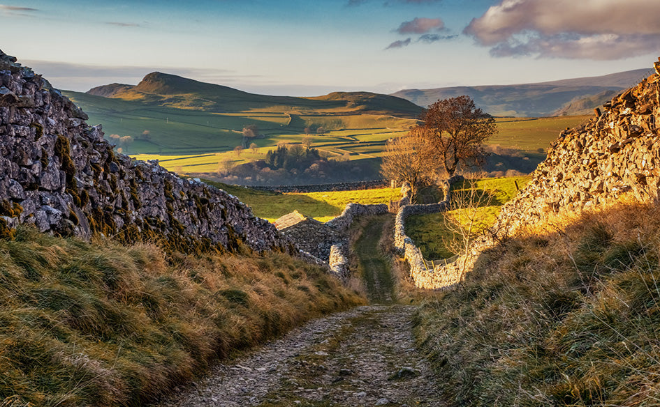 Scenic UK Desk Calendar