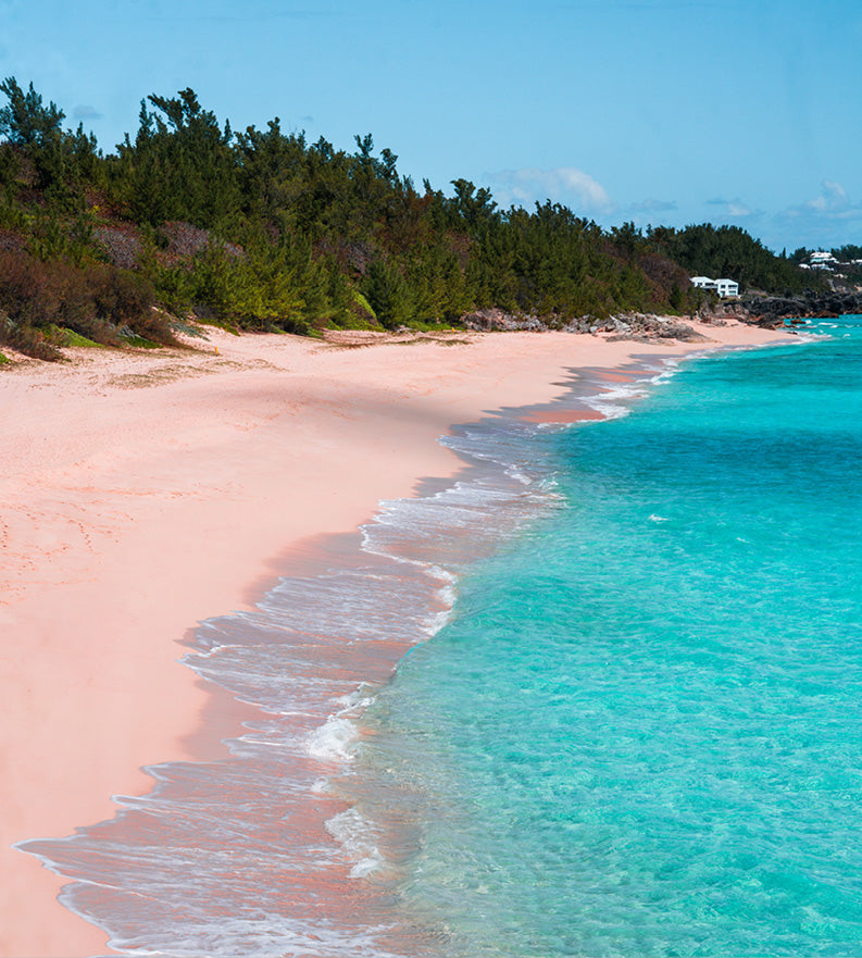 Bermuda Calendar